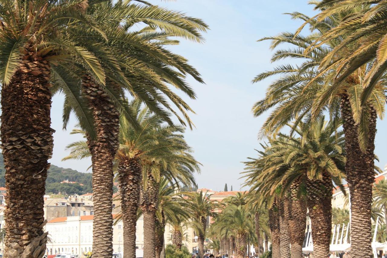 Famous Promenade Riva Apartment Split Eksteriør bilde
